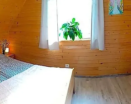- Stajnia Bursztynowa